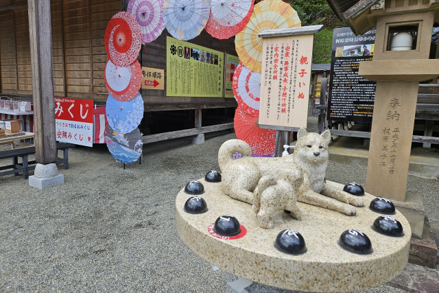 早馬神社 夏詣
